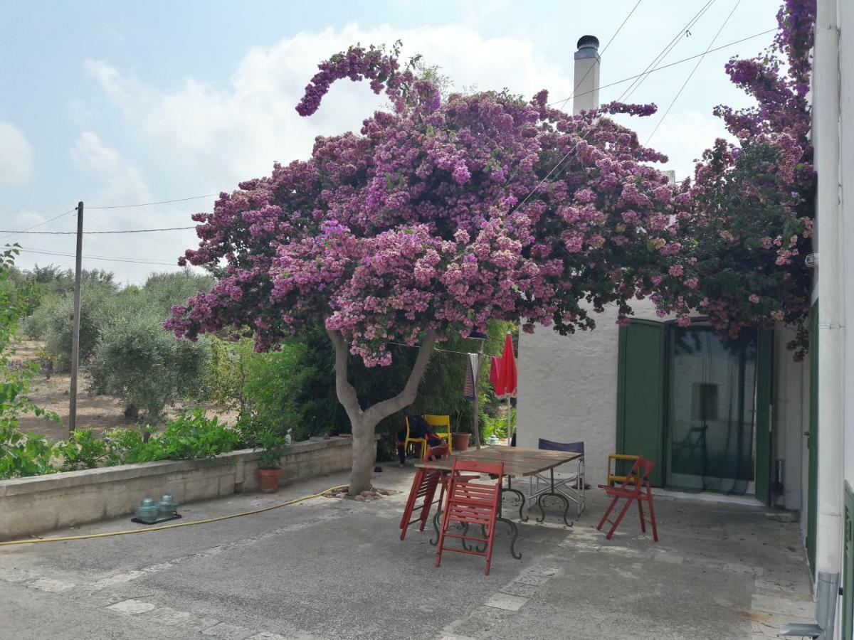 Fra Il Glicine E Il Sambuco Villa Monopoli Luaran gambar