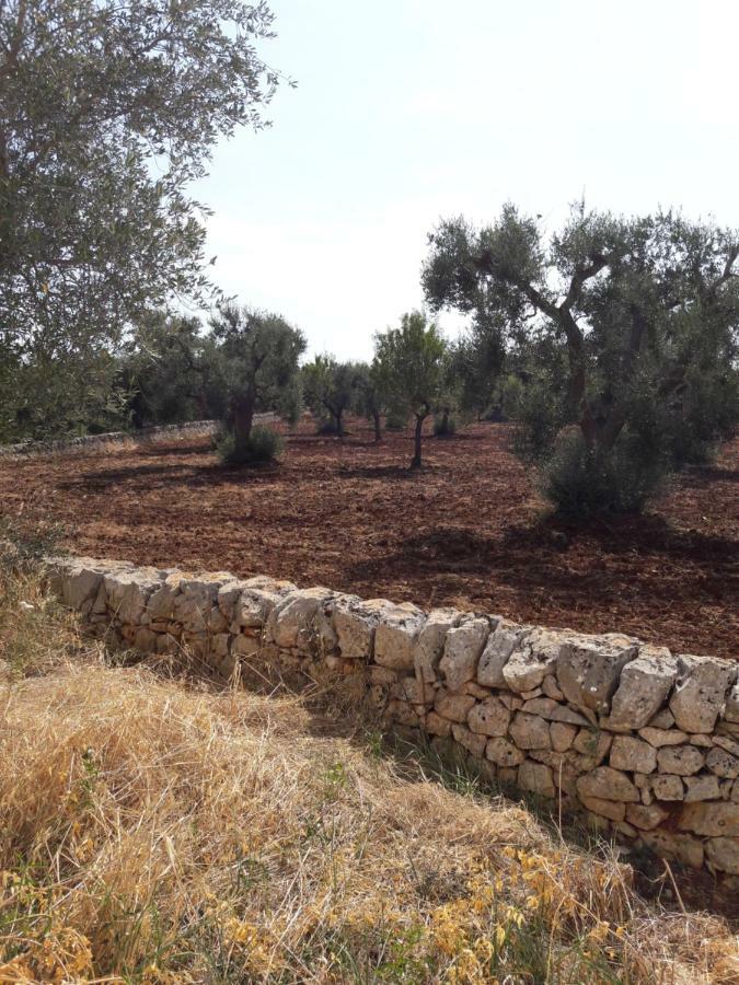 Fra Il Glicine E Il Sambuco Villa Monopoli Luaran gambar