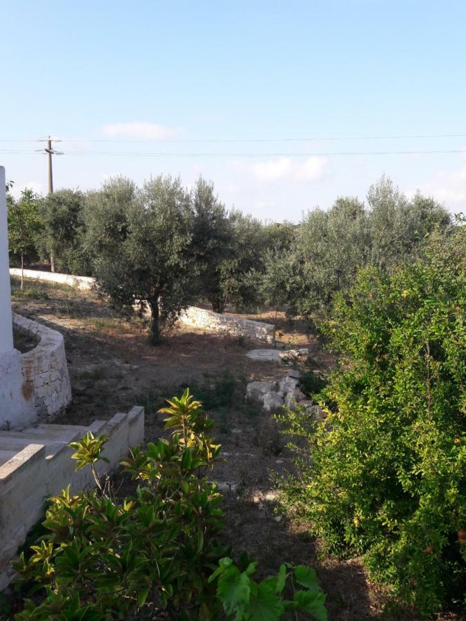 Fra Il Glicine E Il Sambuco Villa Monopoli Luaran gambar